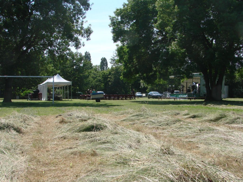 DSC01301