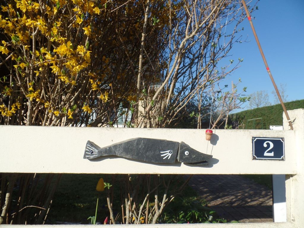 Voici un brochet fixé sur la clôture. Il est en bloc d’ardoise récupéré aux ardoisières , et non retaillé.