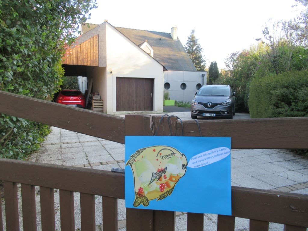 Notre petit vertébré aquatique à branchies a rejoint un moment notre portail.  Mais faute de promeneurs et par ce vent  frisquet il a regagné rapidement l’intérieur.