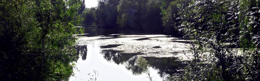 parc4
